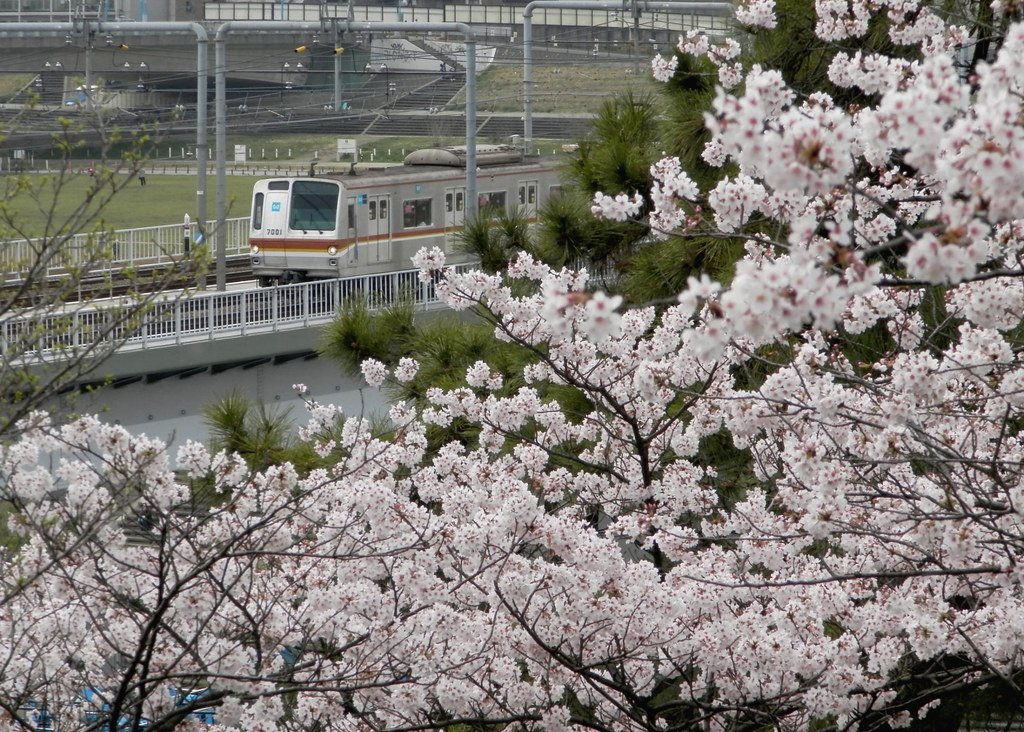 🌳 타마가와다이 공원 이미지 9